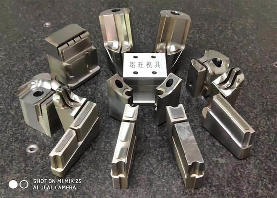 SOLIDWORK Design Mold Inserts Componenti per stampi per componenti automobilistici