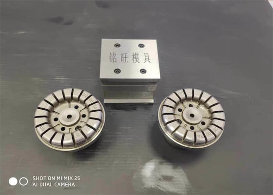 Lo stampo per lucidatura con tolleranza di 0,01 mm inserisce parti di stampi automobilistici